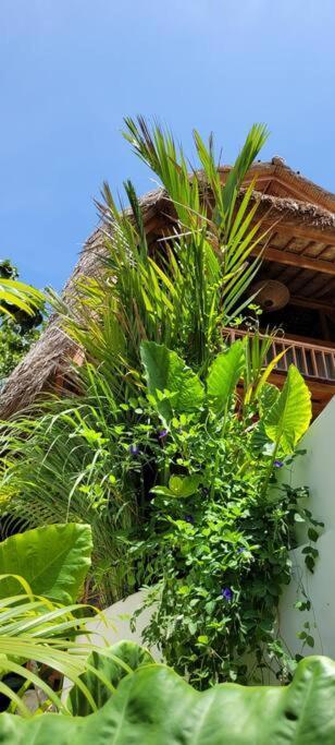 Nest Uluwatu - Eco Boutique Villa Exterior photo